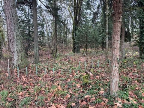 36812 52nd Avenue S H Auburn WA 98001