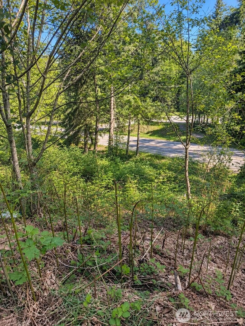 32933 SE Kent Kangley Road