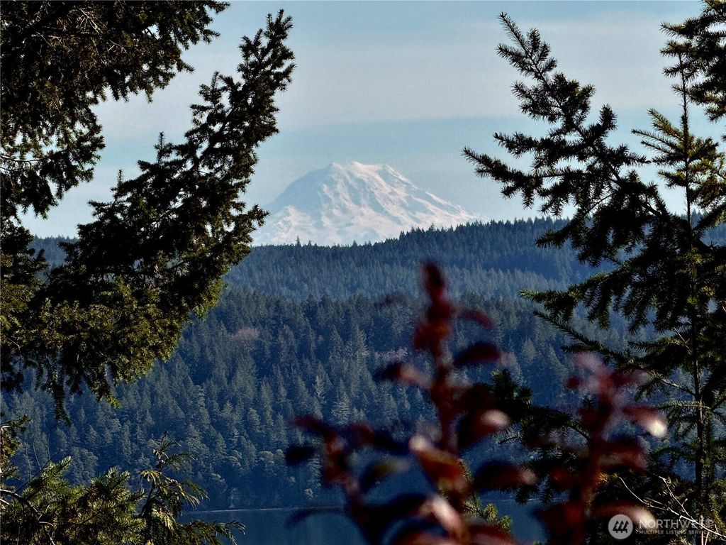 Photo of 67 Devereaux Drive, Lilliwaup, WA 98555 (MLS # 2492224)