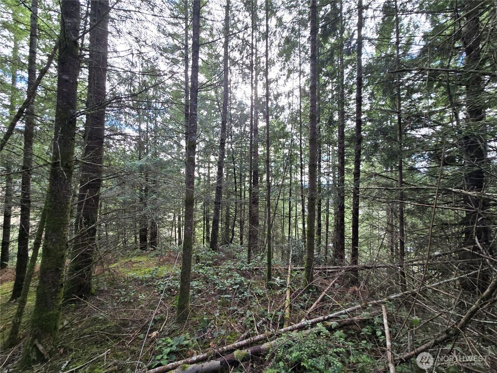 Photo of 216 XX Bond Road NE, Poulsbo, WA 98370 (MLS # 2481590)