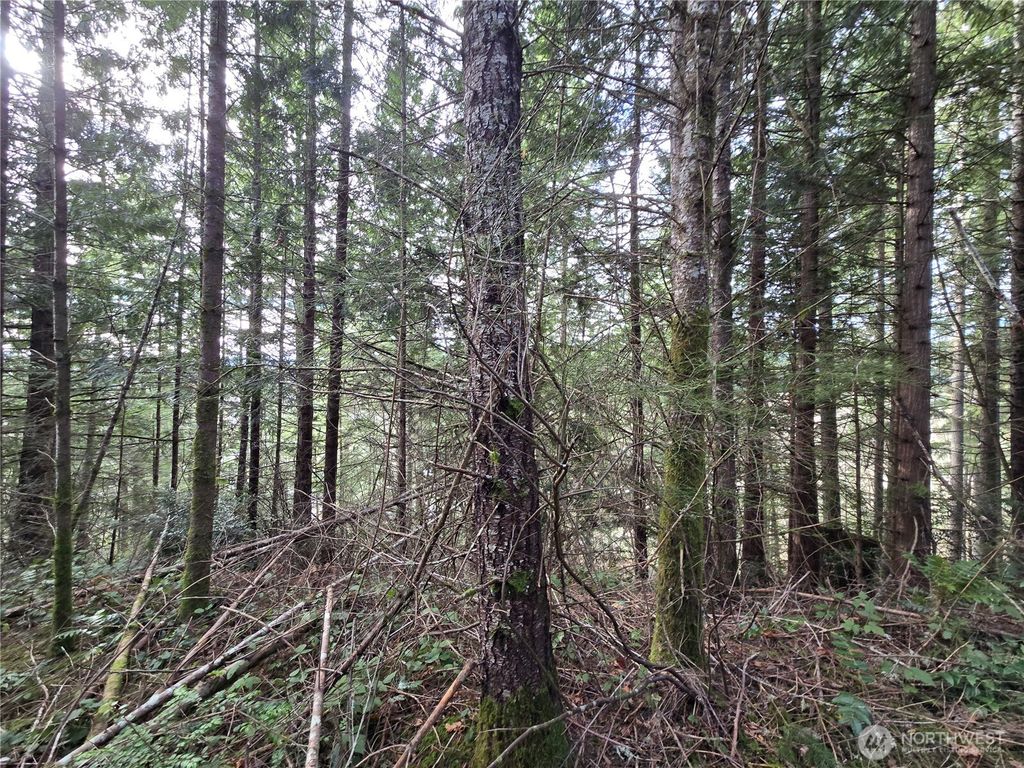 Photo of 216 XX Bond Road NE, Poulsbo, WA 98370 (MLS # 2481590)