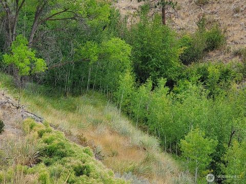 Photo of 6 Cowboy Road, Methow, WA 98834 (MLS # 2360437)