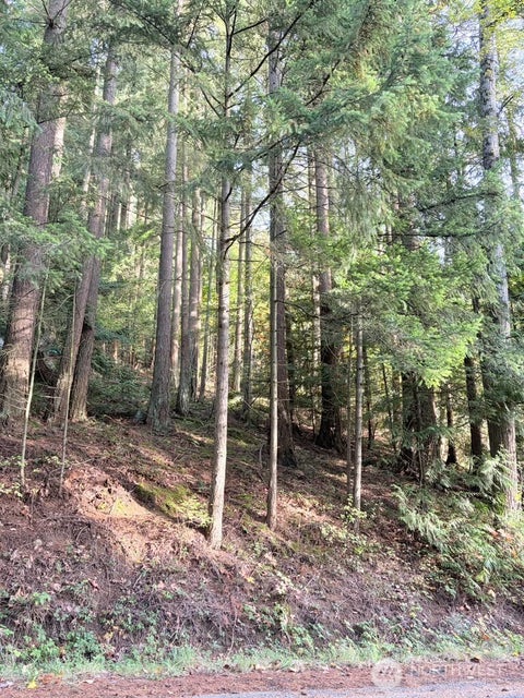 Photo of 0 xxx Emerald Lake Lot# 122 Way, Bellingham, WA 98226 (MLS # 2592535)