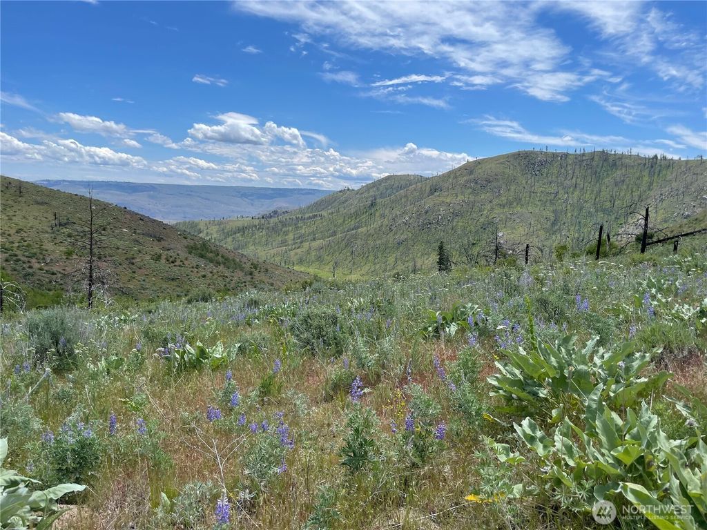 Photo of 436 Antoine Creek Road #Lot E, Chelan, WA 98816 (MLS # 2496512)