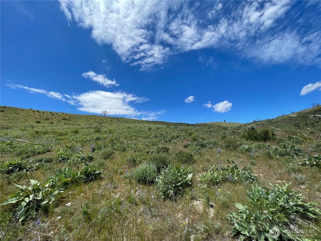 Photo of 436 Antoine Creek Road #Lot E, Chelan, WA 98816 (MLS # 2496512)