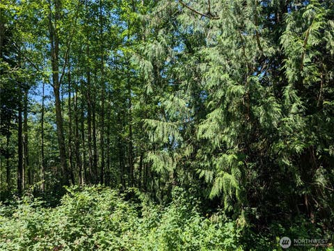 Photo of 21646 Snowden Drive, Mount Vernon, WA 98274 (MLS # 2539664)