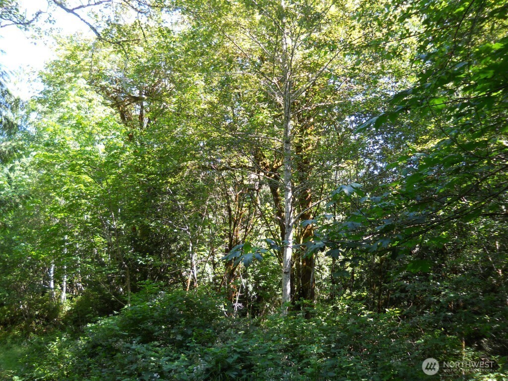 0 Triton Heights Road