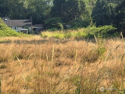 Photo of 806 15th Avenue SE, Puyallup, WA 98372 (MLS # 2579879)