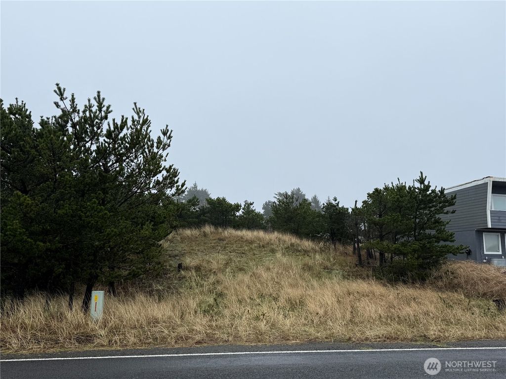 Photo of 34806 I Street, Ocean Park, WA 98640 (MLS # 2478239)