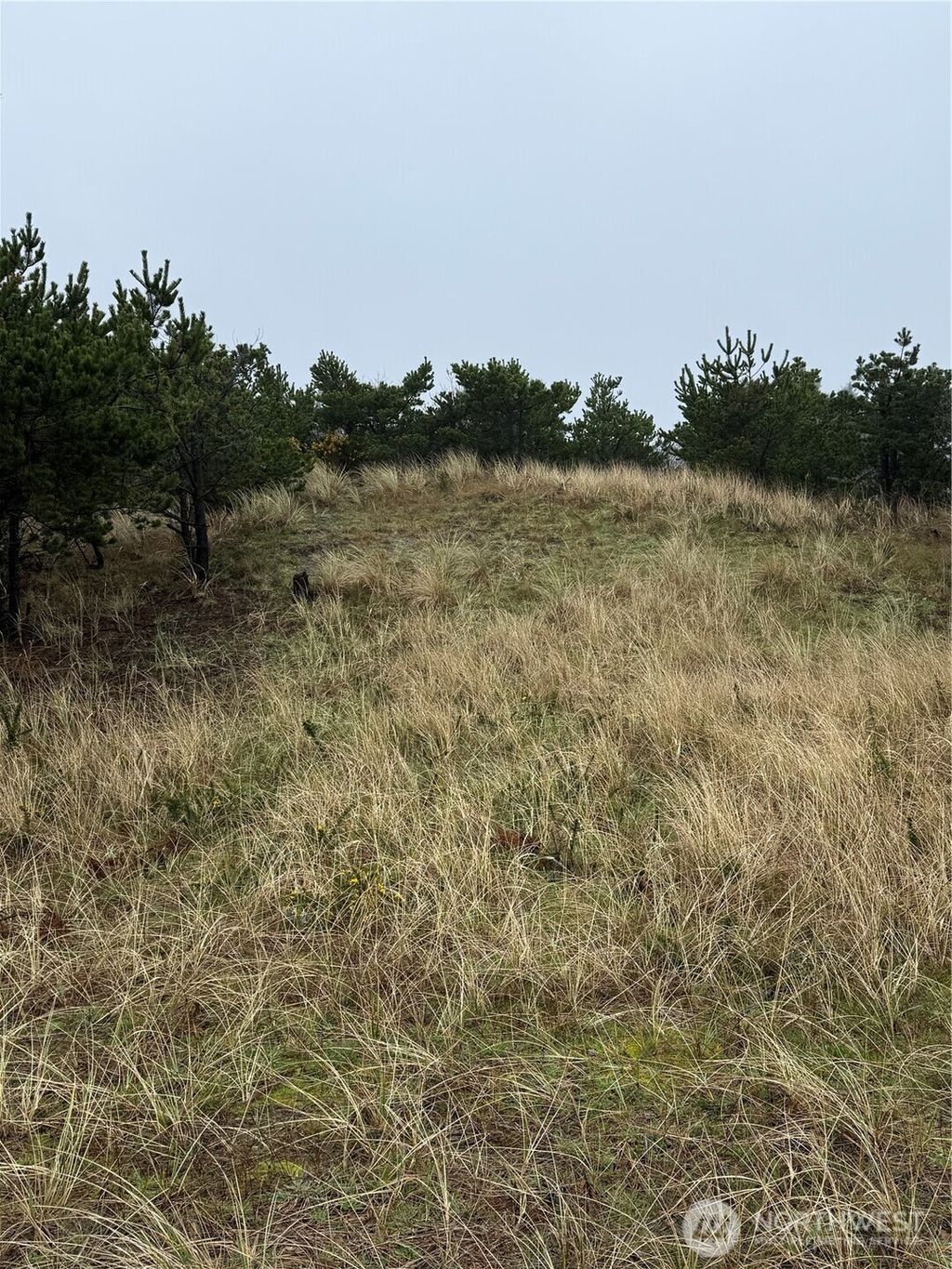 Photo of 34806 I Street, Ocean Park, WA 98640 (MLS # 2478239)