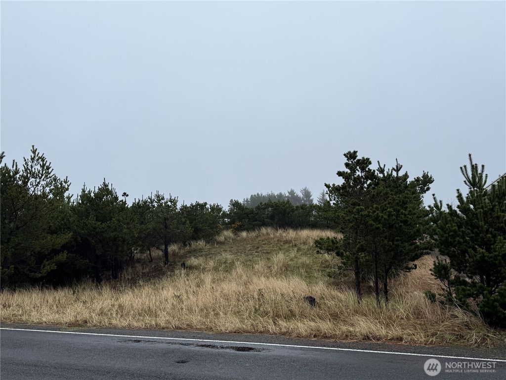 Photo of 34806 I Street, Ocean Park, WA 98640 (MLS # 2478239)