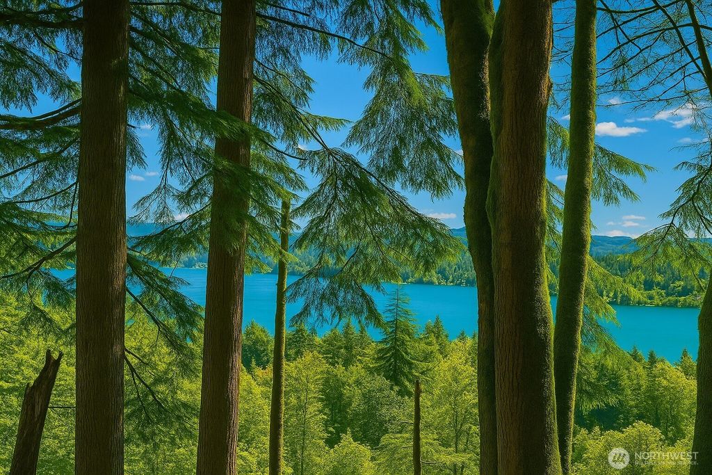 Photo of 180 XX SE 60th St, Issaquah, WA 98027 (MLS # 2448437)