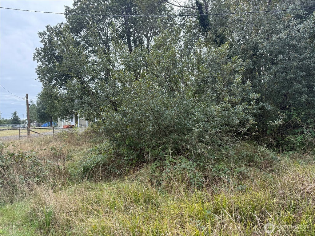 Photo of 11 XX Wheeler Avenue, Tokeland, WA 98509 (MLS # 2587810)