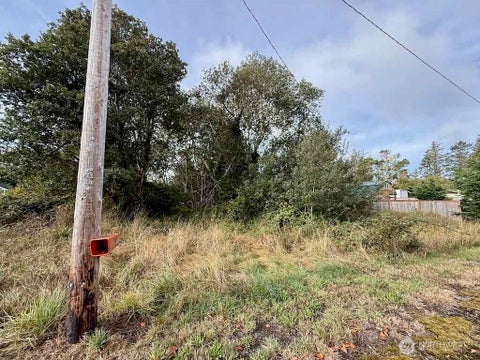 Photo of 11 XX Wheeler Avenue, Tokeland, WA 98509 (MLS # 2587810)