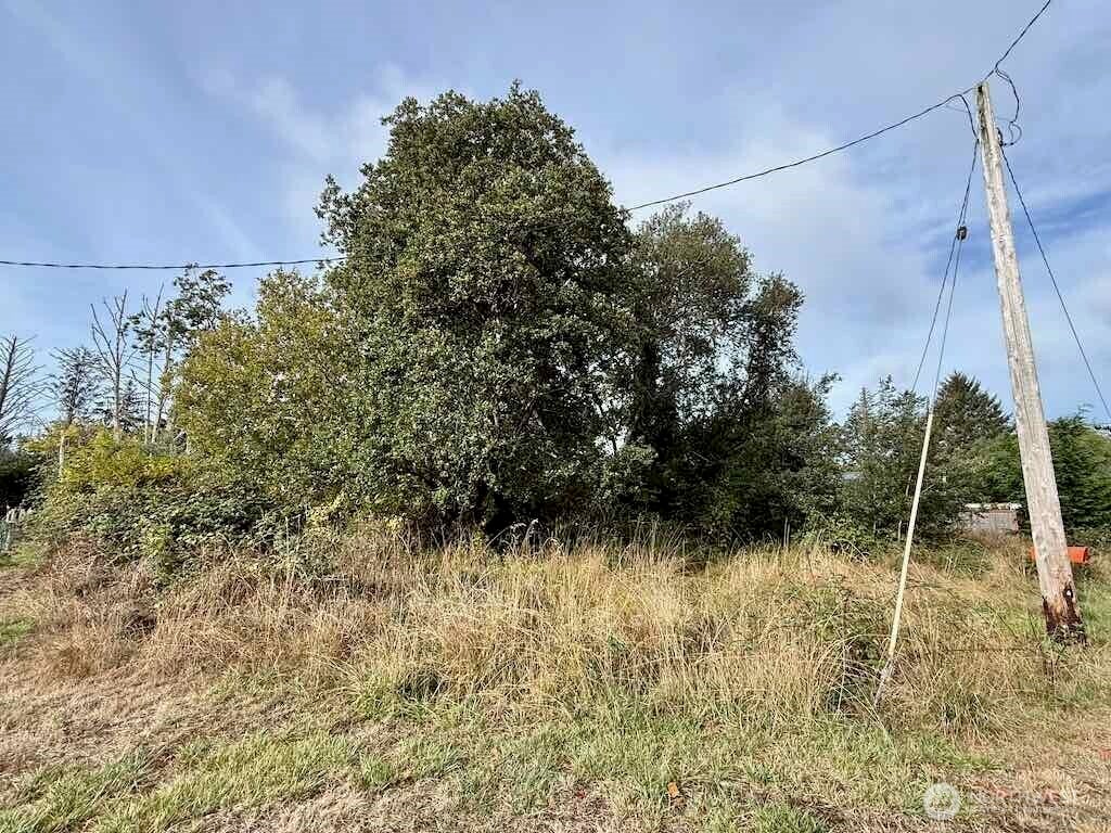 Photo of 11 XX Wheeler Avenue, Tokeland, WA 98509 (MLS # 2587810)