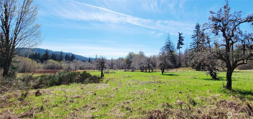 Photo of 0 W Cloquallum Road, Shelton, WA 98584 (MLS # 2504829)