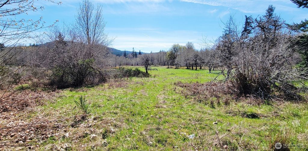 Photo of 0 W Cloquallum Road, Shelton, WA 98584 (MLS # 2504829)