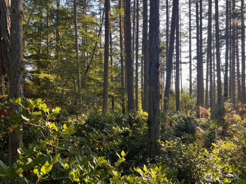 3 Pavey Boulevard Lopez Island WA 98261
