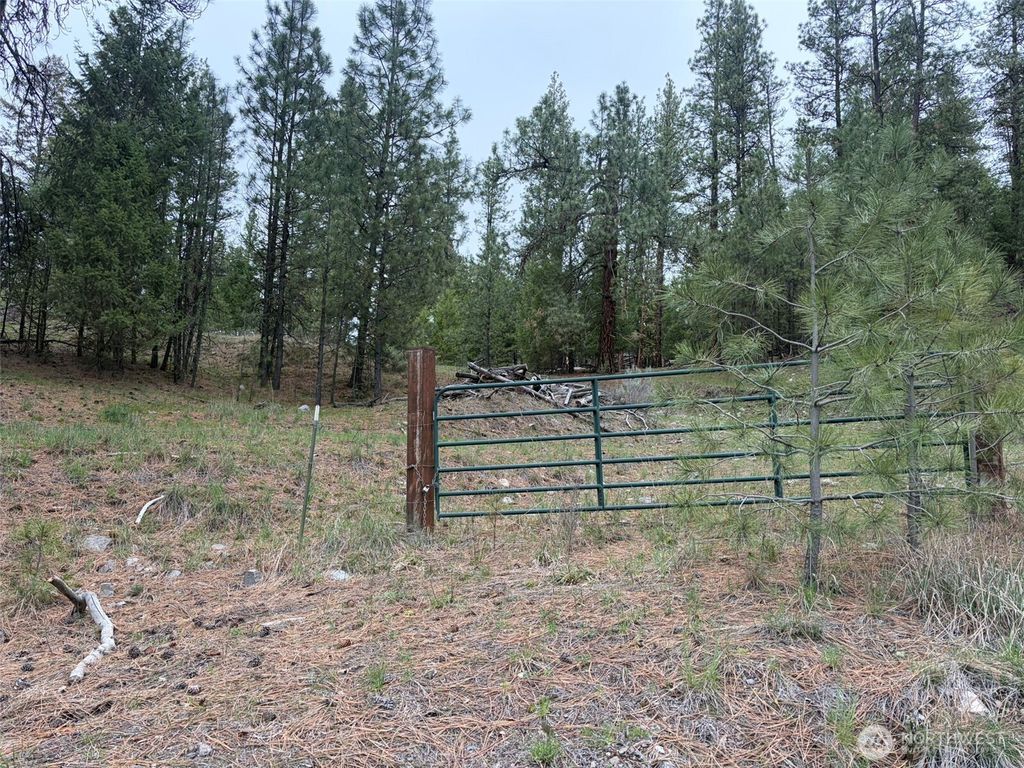 Photo of 111 TBD Fish Hatchery Road, Republic, WA 99166 (MLS # 2507574)