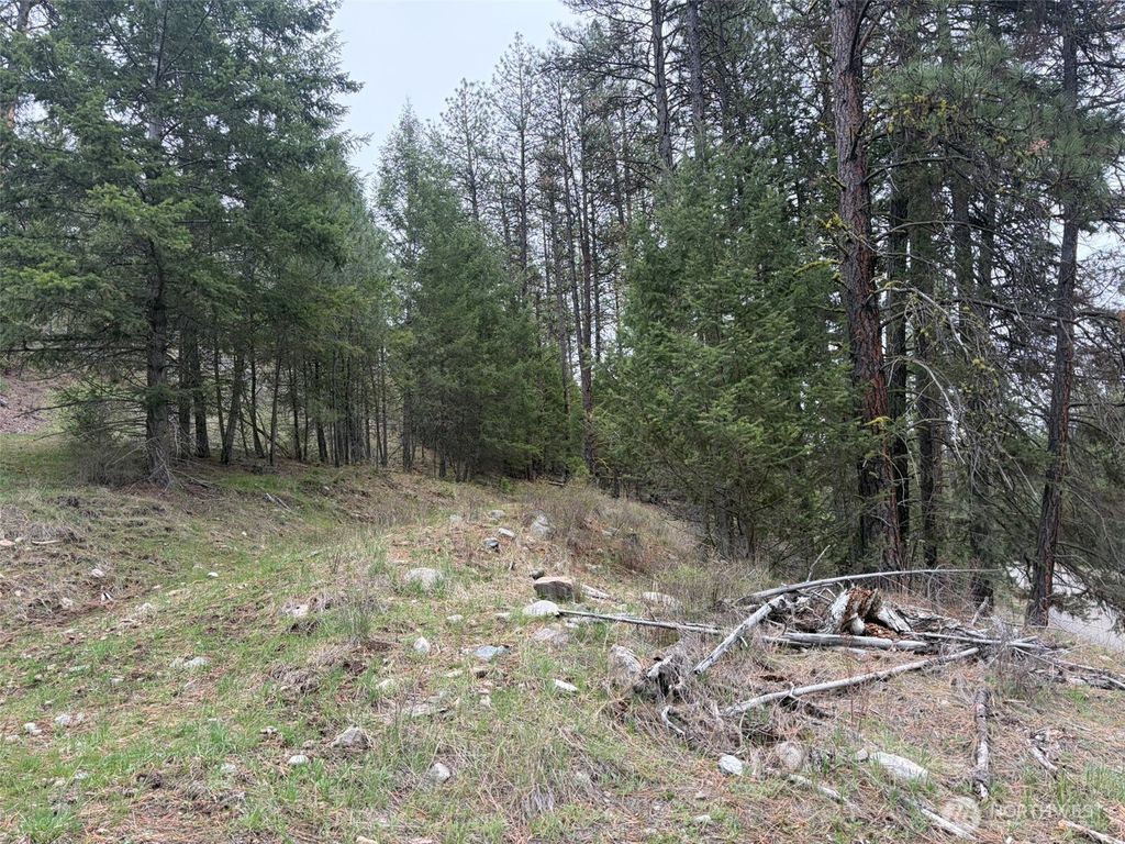 Photo of 111 TBD Fish Hatchery Road, Republic, WA 99166 (MLS # 2507574)