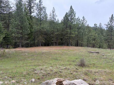 Photo of 111 TBD Fish Hatchery Road, Republic, WA 99166 (MLS # 2507574)