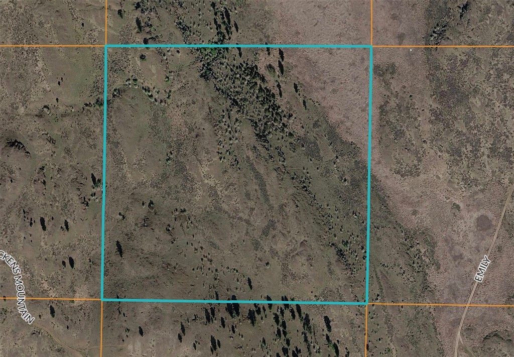 Photo of 0 TBD Emily Road, Oroville, WA 98844 (MLS # 2597733)