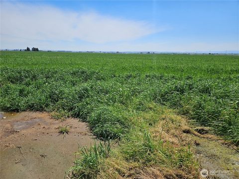 Photo of 314184000 Highway 281, Quincy, WA 98848 (MLS # 2531434)
