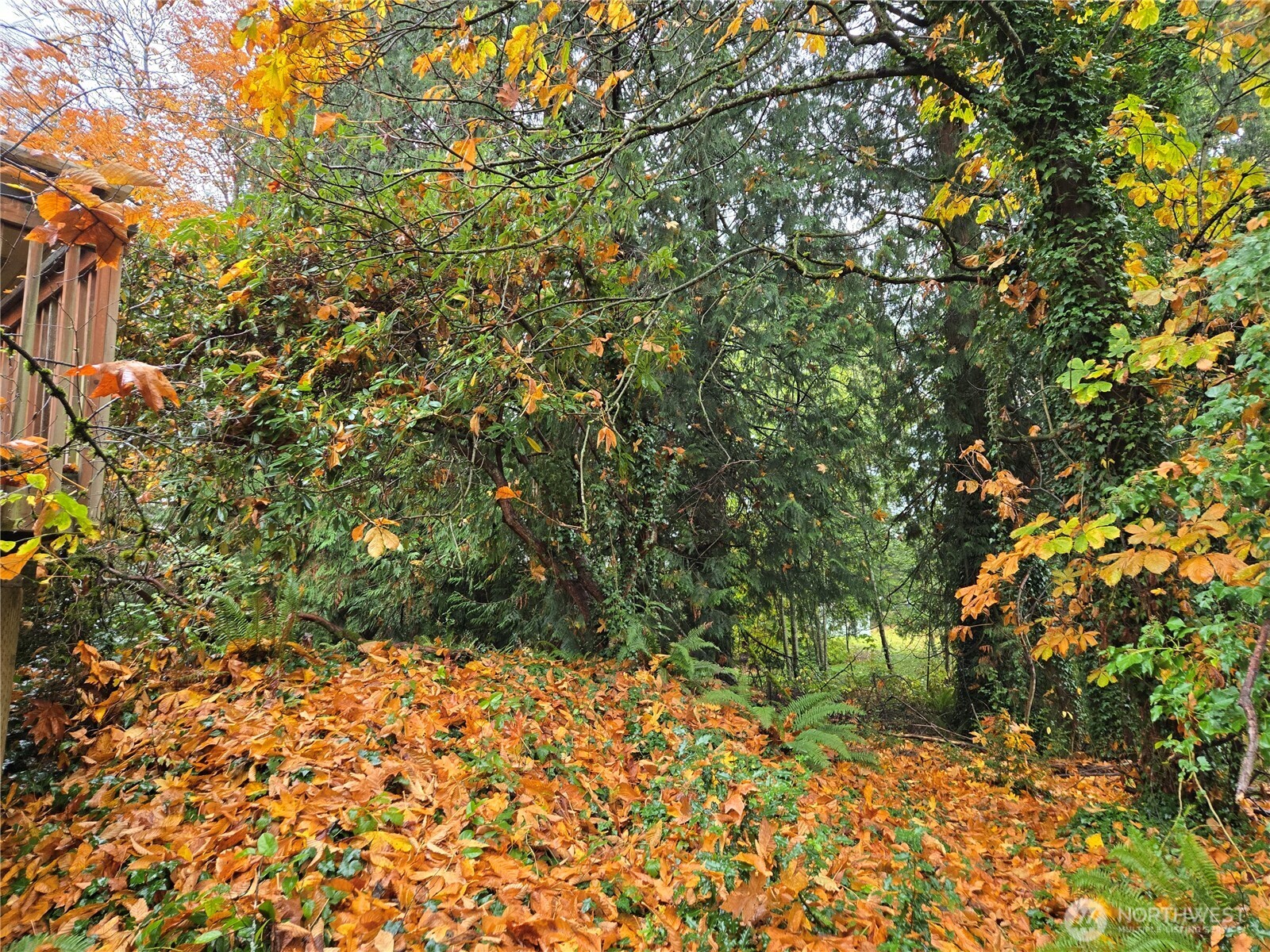 10415 Slater Avenue NE