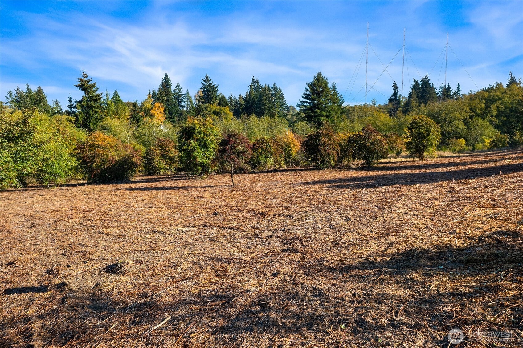 8933 SW Van Olinda Road