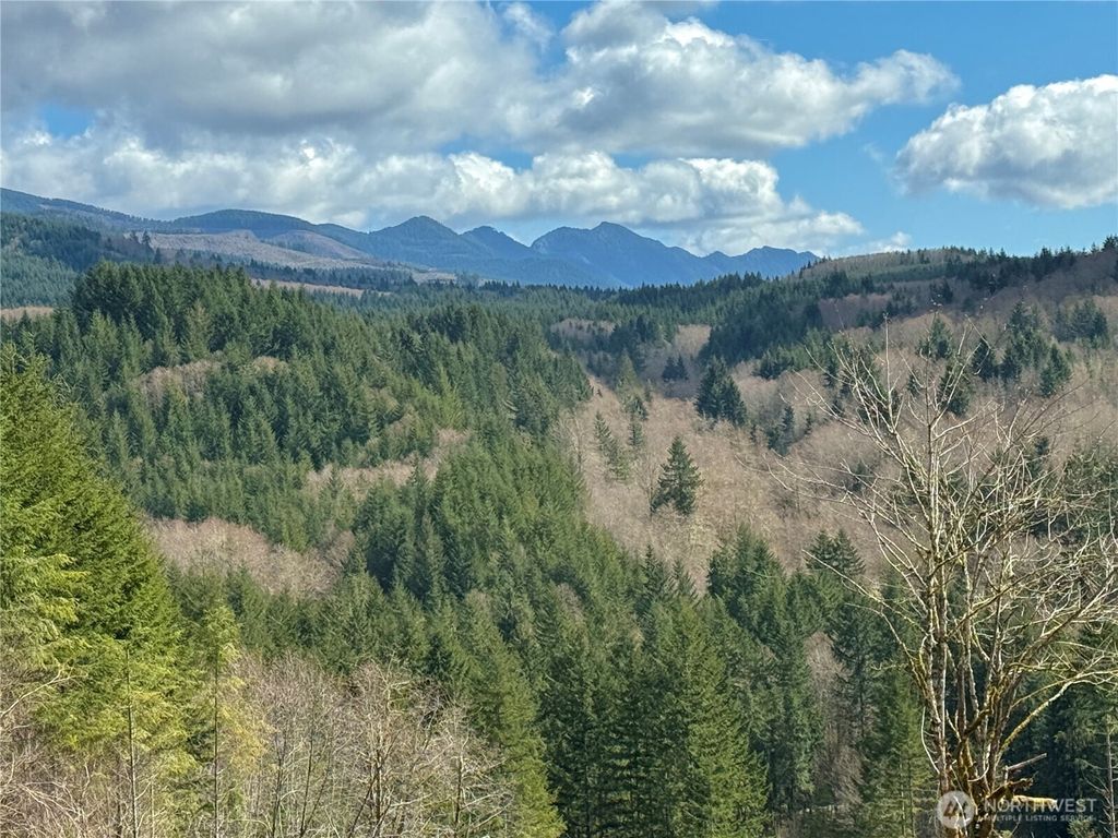 Photo of 418 August Road, Onalaska, WA 98570 (MLS # 2499166)