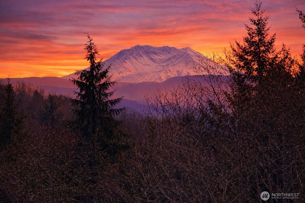 Photo of 418 August Road, Onalaska, WA 98570 (MLS # 2499166)