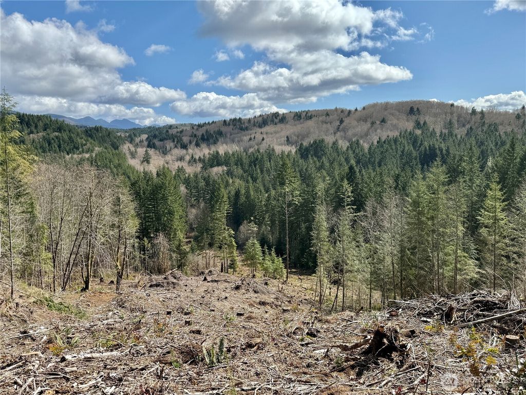 Photo of 418 August Road, Onalaska, WA 98570 (MLS # 2499166)