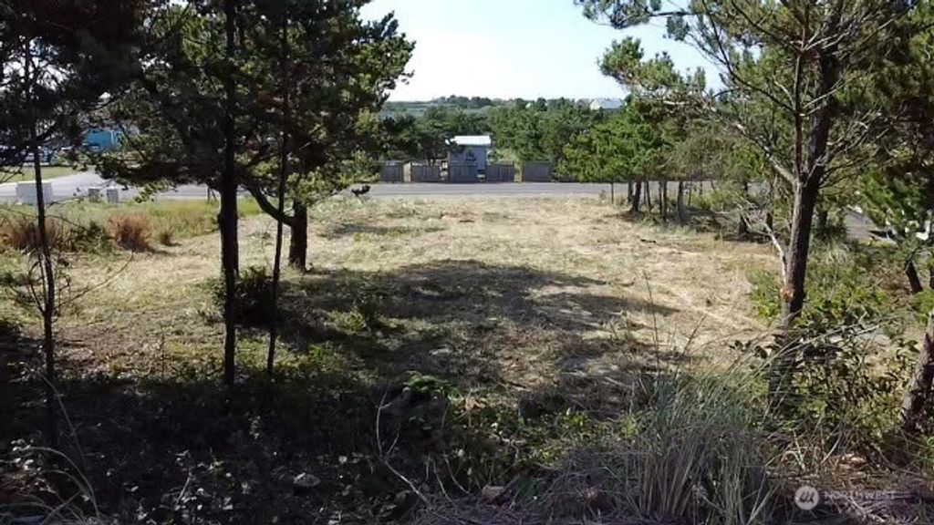 Photo of 34010 J PL Pl, Ocean Park, WA 98640 (MLS # 2496240)