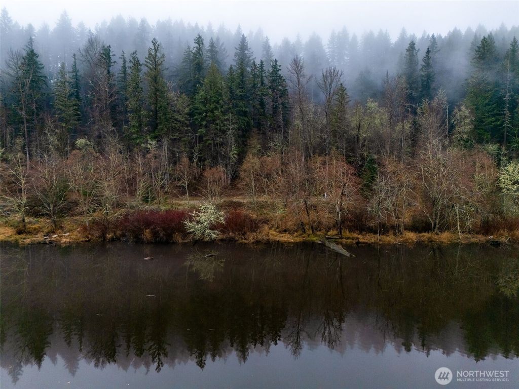 Photo of 0 Lot 3&amp;4 Orville Road E, Eatonville, WA 98328 (MLS # 2483837)