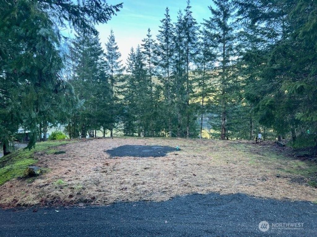 Photo of 9999 Mallard Cove Road, Port Angeles, WA 98363 (MLS # 2471445)