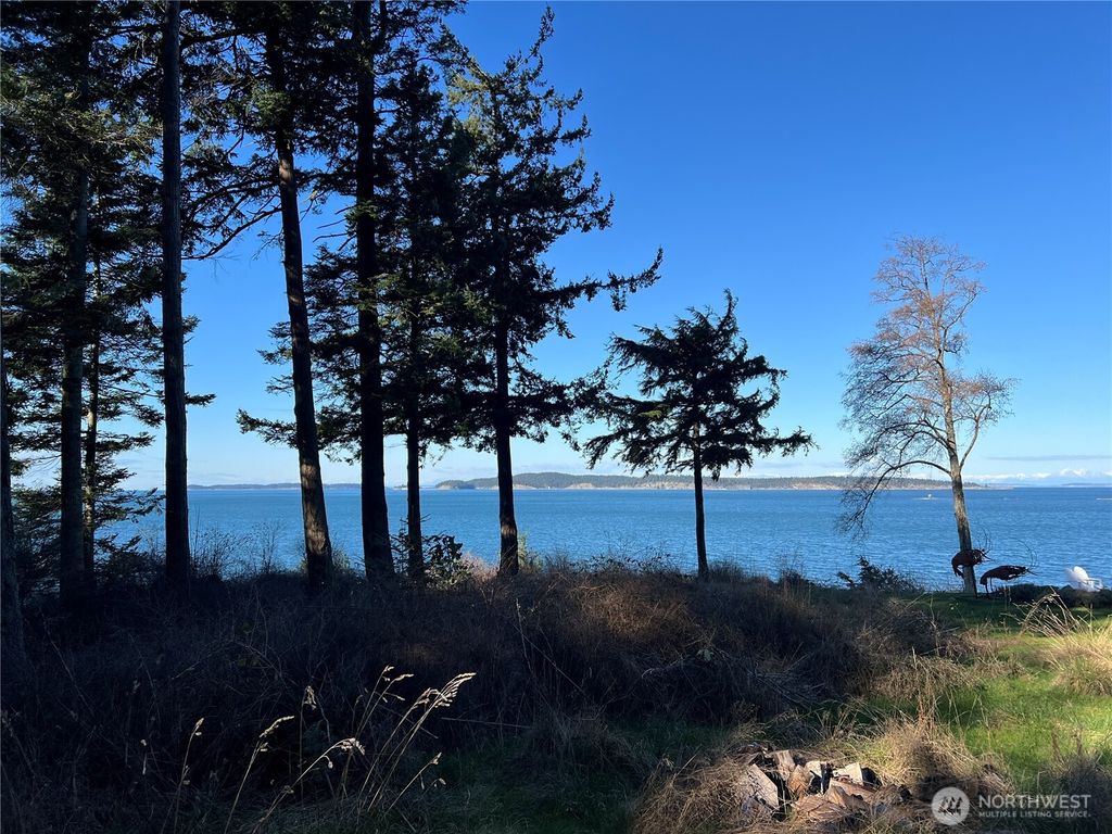 Photo of 351 Sunset Ave, Orcas Island, WA 98245 (MLS # 2482717)