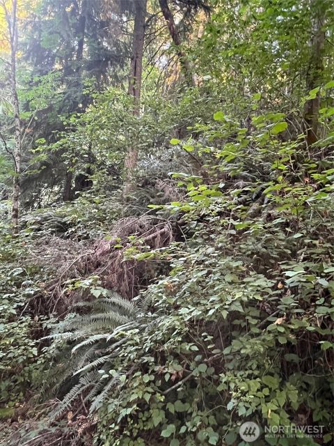 Photo of 0 Buckley Road E, Orting, WA 98321 (MLS # 2441295)