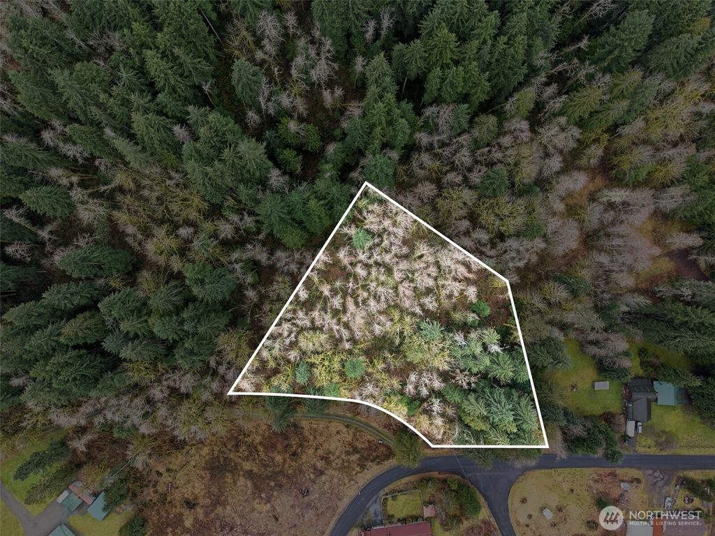 Photo of 134 Tilton Drive, Morton, WA 98356 (MLS # 2481949)