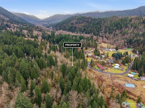 134 Tilton Drive Morton WA 98356