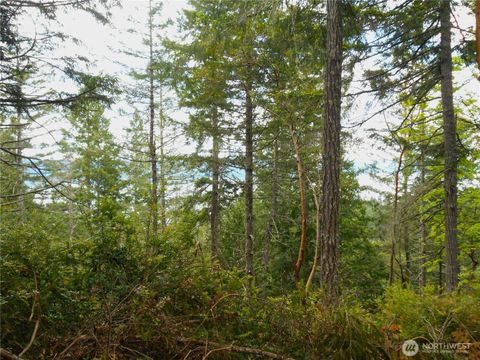 Photo of 0 Yashi Road, Brinnon, WA 98320 (MLS # 2525306)
