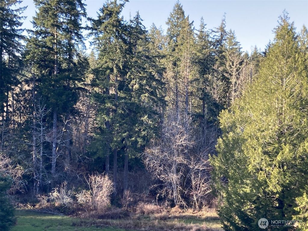 Photo of 0 XXX Gallagher Cove Road NW, Olympia, WA 98502 (MLS # 2498776)