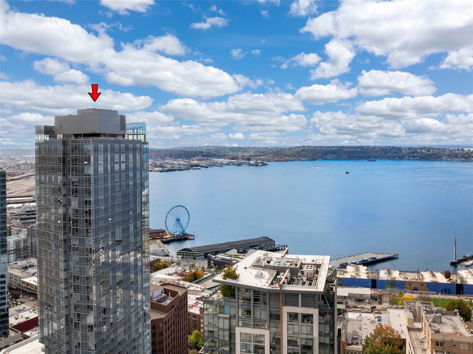 121 Stewart Street 501