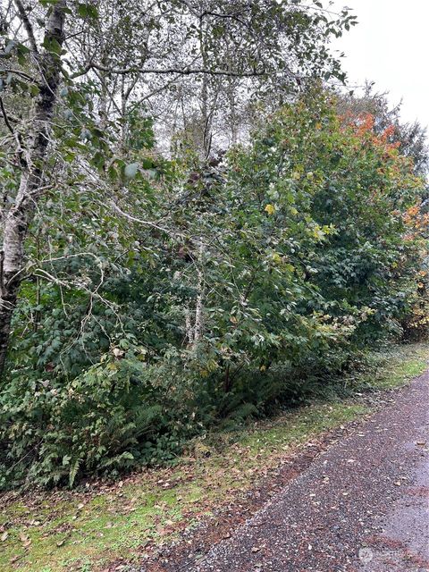 Photo of 28901 X Lane, Ocean Park, WA 98640 (MLS # 2308369)