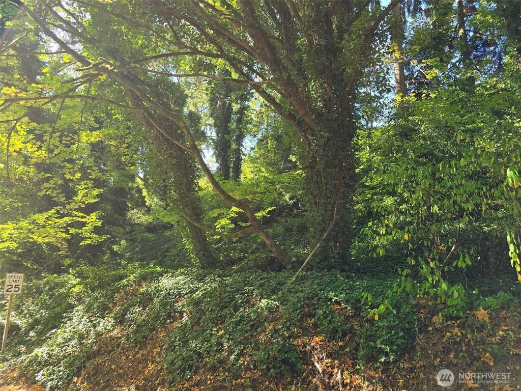 Photo of 0 37th Place S, SeaTac, WA 98198 (MLS # 2445716)