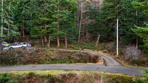 Photo of 2981 Hales Passage Drive, Lummi Island, WA 98262 (MLS # 2327685)