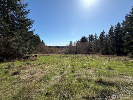 1111 SANDWITH RD, FRIDAY HARBOR, WA 98250 - Image 983f03793a66ffce64643ef00e2f8d54/1796019404