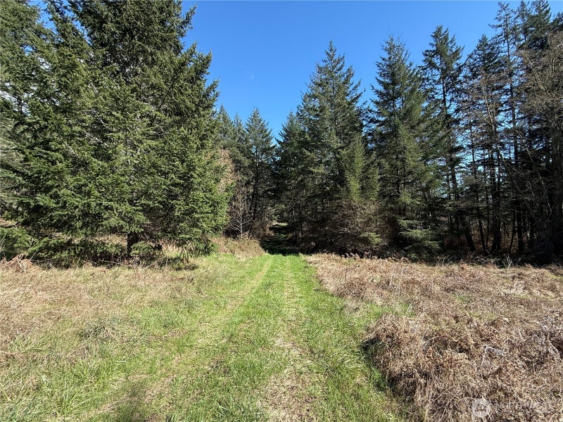 1111 Sandwith Road