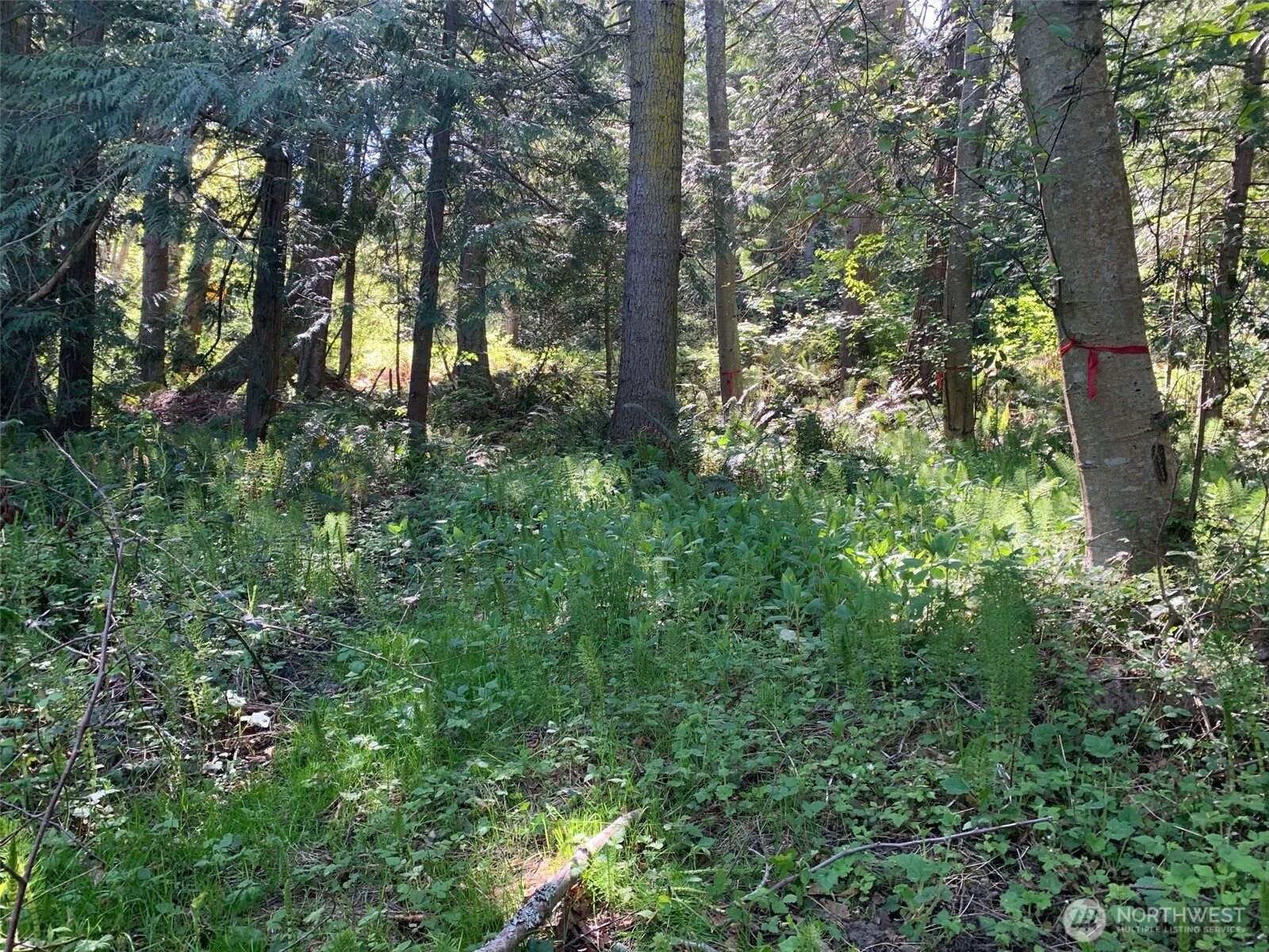 483 Wanapum Place