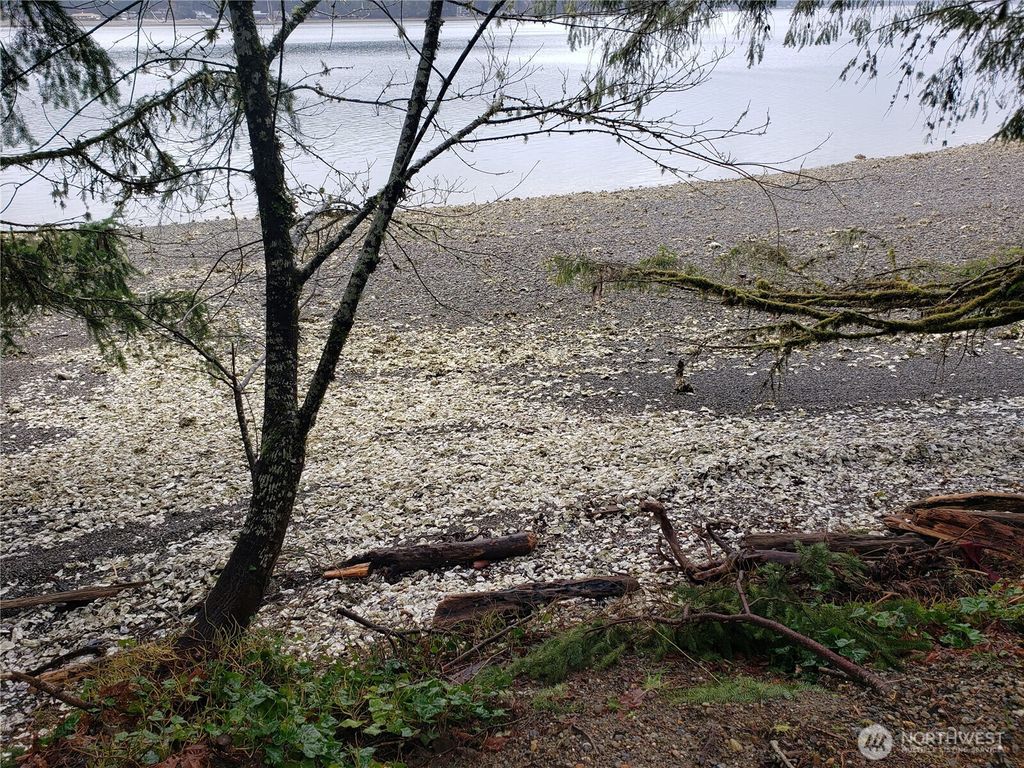 Photo of 551 E Timber Tides Drive, Union, WA 98592 (MLS # 2506370)