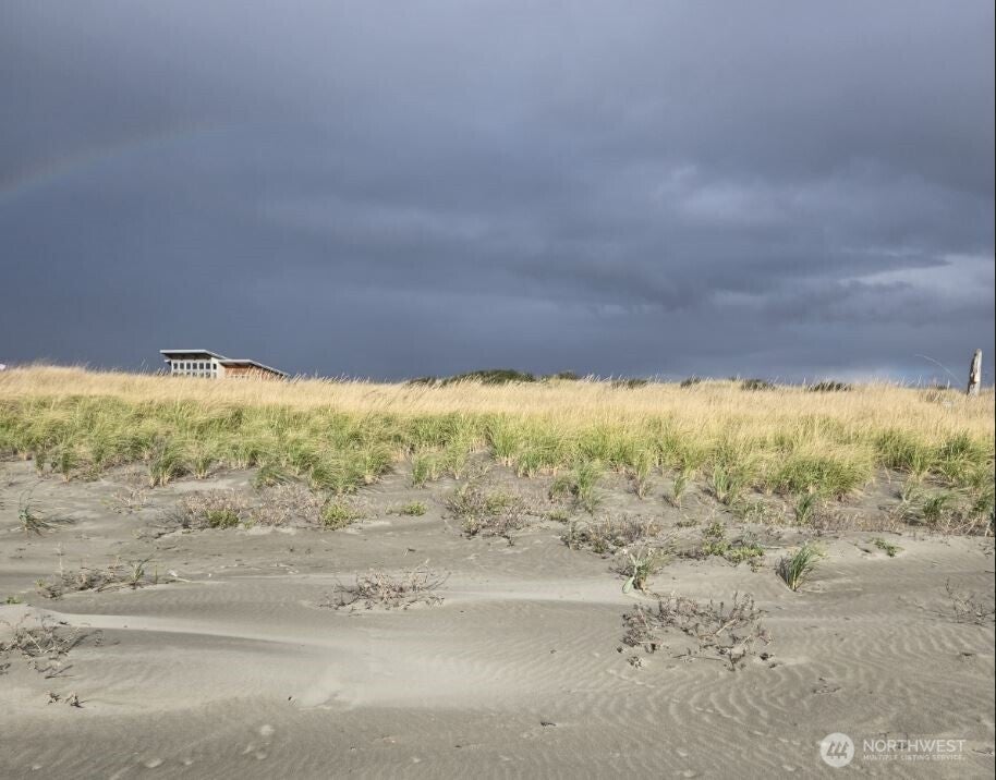 Photo of 47 XX State Route 105 S, Grayland, WA 98547 (MLS # 2581987)